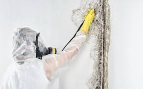 Best Mold Remediation for Healthcare Facilities  in Oxford, GA